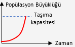 Popülasyonlarda J tipi büyüme eğrisi